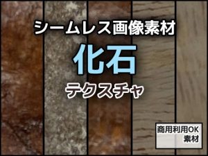 【無料】化石のテクスチャ/シームレス画像素材〜商用成人利用OKの著作権フリー|商用利用OK素材のエロ漫画が今だけ全部読め